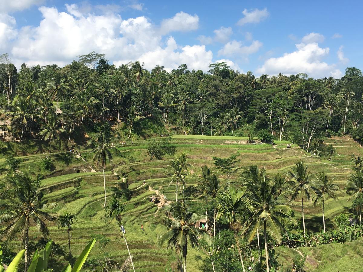 Villa Maha Ubud  Exterior photo